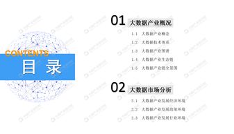 2019年中國大數(shù)據(jù)產(chǎn)業(yè)市場前景研究報(bào)告——應(yīng)用軟件服務(wù)篇