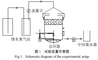 改進(jìn)厭氧反應(yīng)器處理淀粉廢水 策略、技術(shù)與應(yīng)用前景
